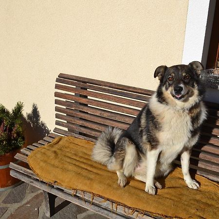 AhrnbachBohrerhof公寓 外观 照片